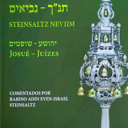 O-Livrode-Juizes copiar